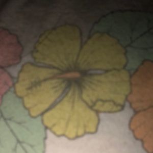 Meet your Posher, Edie